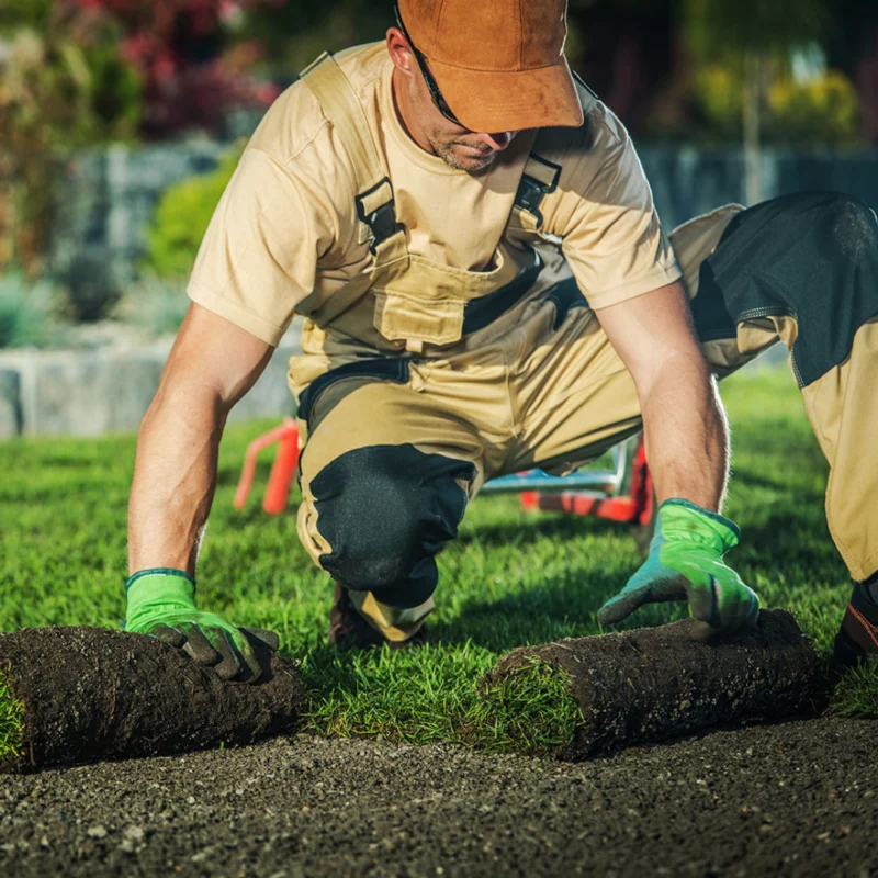 Een nieuw gazon of graszoden laten leggen? Vind een hovenier bij jou in de buurt en plaats je klus op GekeurdeVakman.