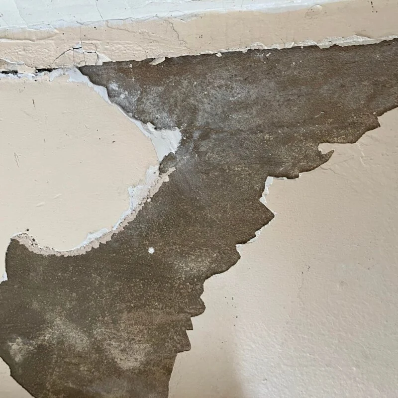 Vind een stukadoor om loszittend stucwerk te laten afhakken en je muur opnieuw te laten stucen via GekeurdeVakman.